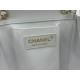 Chanel Bag backpackAS361801 25X22X18cm