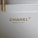 Chanel Bag backpackAS405803 23X18X10cm