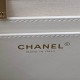 Chanel Bag backpackAS405903 25X20X12cm