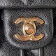 Chanel Bag backpackAS405906 25X20X12cm