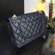 Chanel Bag Chanel 2.55 627324 20cm al