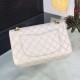 Chanel Bag Chanel 2.55 627340 20cm al