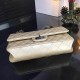 Chanel Bag Chanel 2.55 627357 20cm al