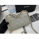 Chanel Bag Chanel 19AP2377 19 cm al