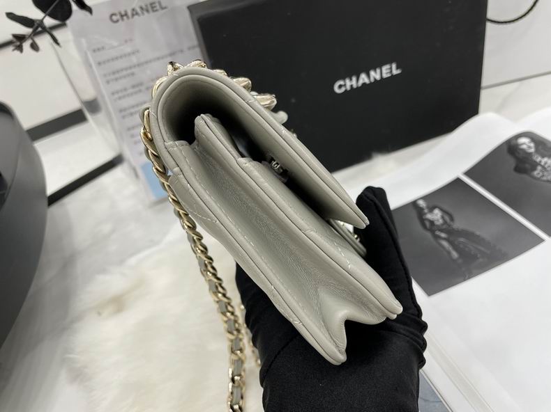 Chanel Bag Chanel 19AP2377 19 cm al