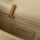 Chanel Bag Chanel 19AS2976 16x23.5x6.5 cm al