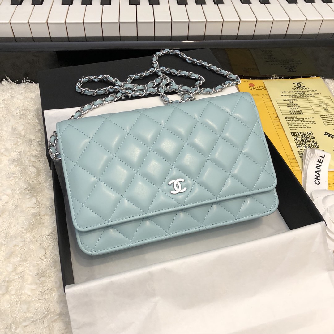 Chanel Bag Wallets on Chain 629204 19x12.5cm al