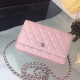 Chanel Bag Wallets on Chain 629236 19x12.5cm al