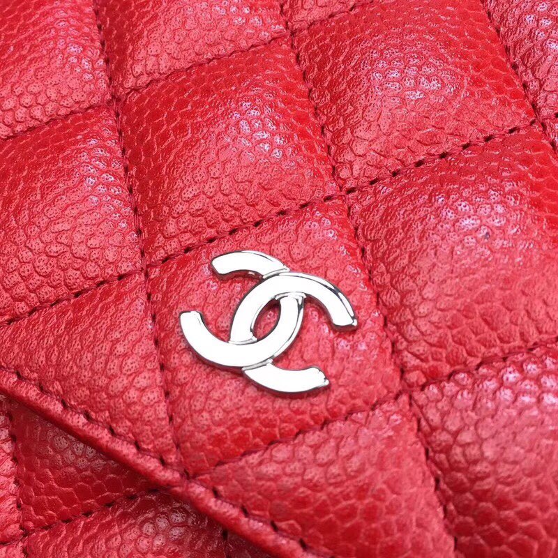 Chanel Bag Wallets on Chain 629433 19x12.5cm al