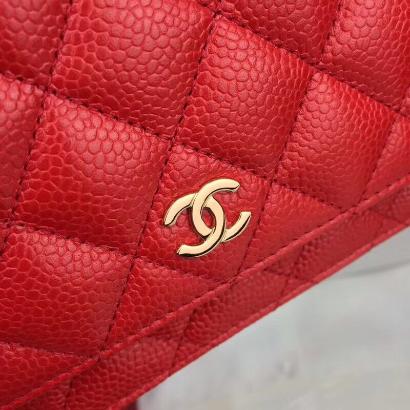 Chanel Bag Wallets on Chain 629441 19x12.5cm al