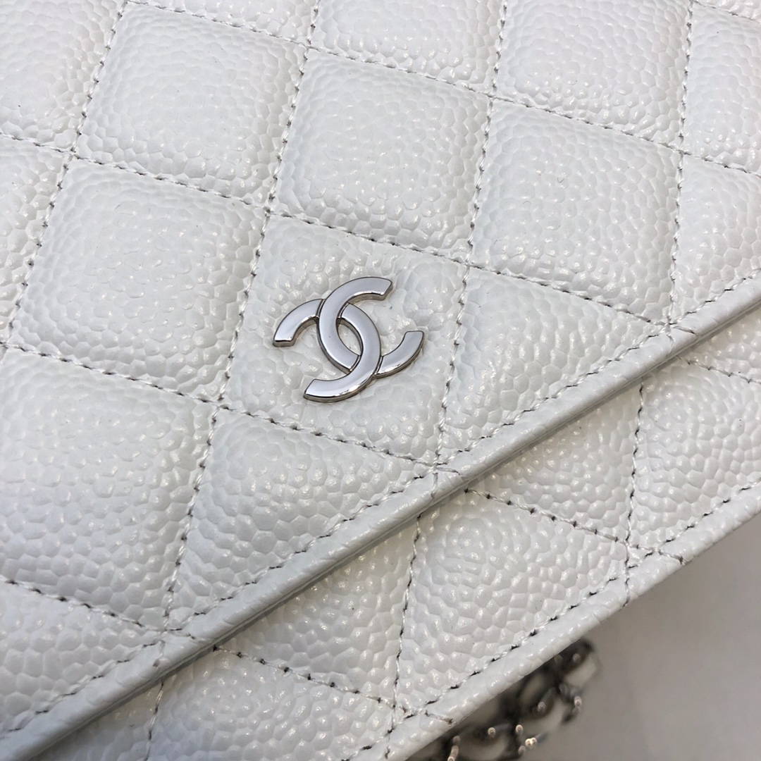 Chanel Bag Wallets on Chain 629449 19x12.5cm al