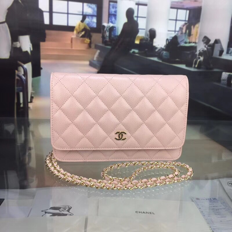 Chanel Bag Wallets on Chain 629465 19x12.5cm al