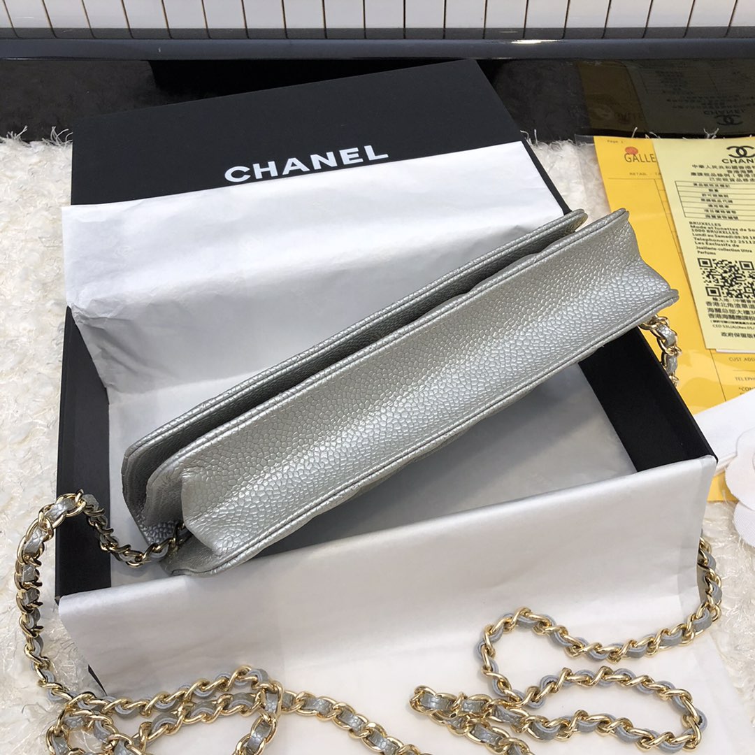 Chanel Bag Wallets on Chain 629481 19x12.5cm al