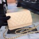 Chanel Bag Wallets on Chain 629497 19x12.5cm al