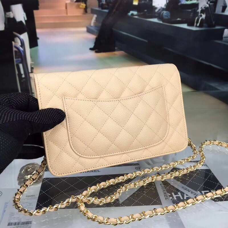 Chanel Bag Wallets on Chain 629497 19x12.5cm al