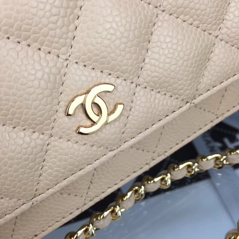 Chanel Bag Wallets on Chain 629497 19x12.5cm al