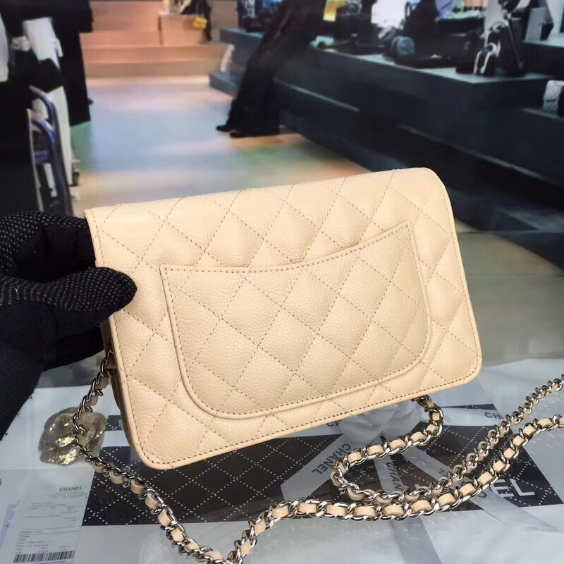 Chanel Bag Wallets on Chain 629504 19x12.5cm al