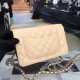 Chanel Bag Wallets on Chain 629504 19x12.5cm al