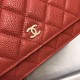 Chanel Bag Wallets on Chain 629536 19x12.5cm al