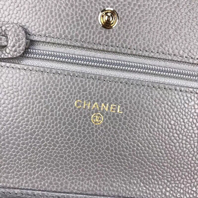 Chanel Bag Wallets on Chain 629544 19x12.5cm al