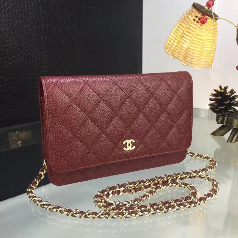 Chanel Bag Wallets on Chain 629552 19x12.5cm al