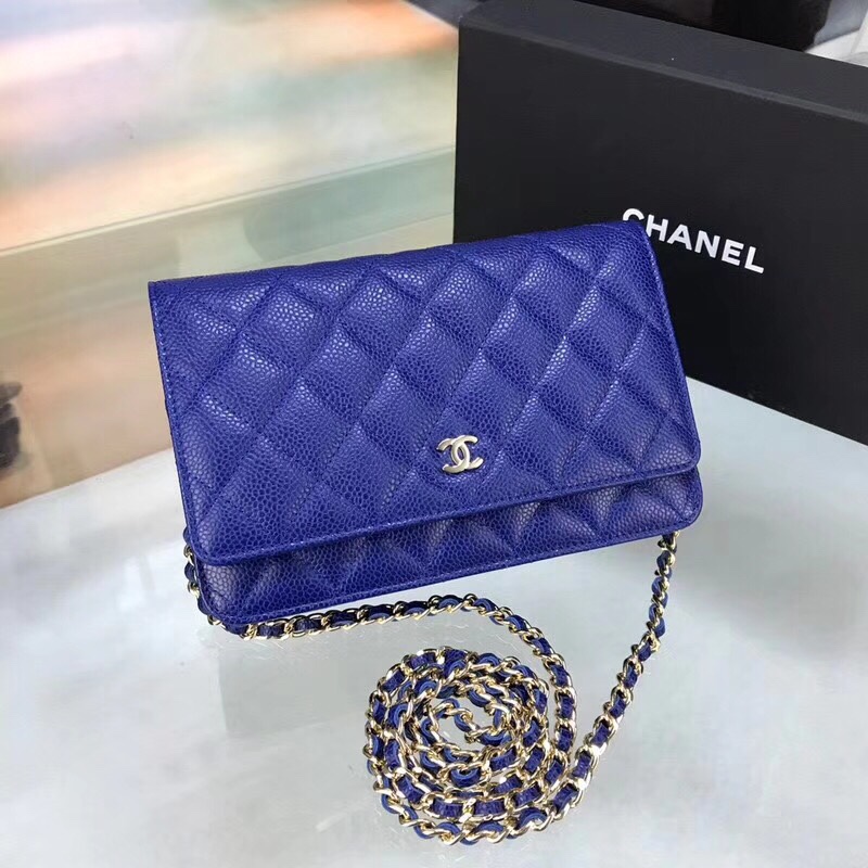 Chanel Bag Wallets on Chain 629559 19x12.5cm al