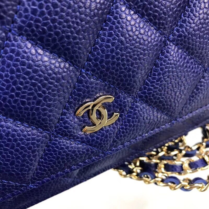 Chanel Bag Wallets on Chain 629559 19x12.5cm al