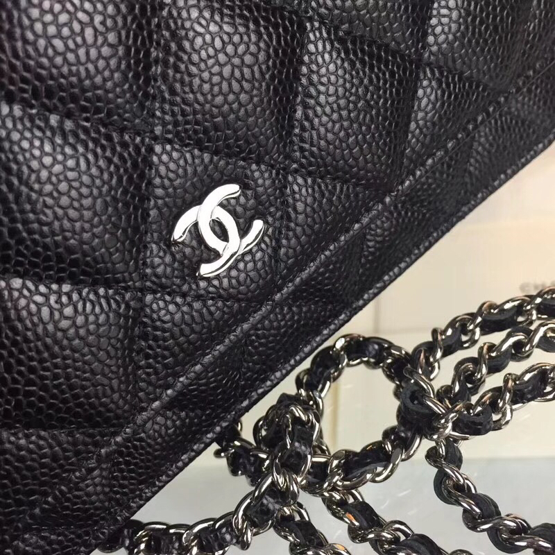 Chanel Bag Wallets on Chain 629567 19x12.5cm al