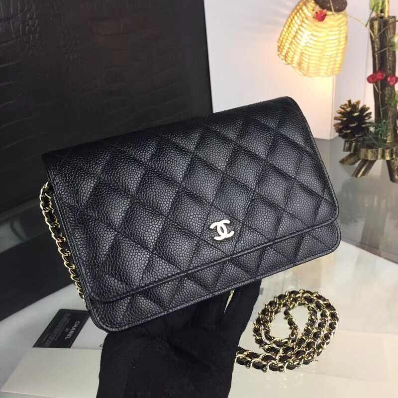 Chanel Bag Wallets on Chain 629575 19x12.5cm al