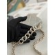 Chanel Bag Wallets on Chain 629674 19cm al