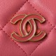 Chanel Bag Wallets on Chain AP2635 11x15.5x4.5 cm al