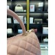 Chanel Coco Handle Bag