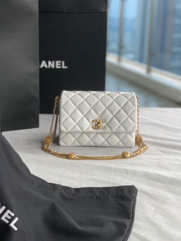 Chanel Bag Wallets on Chain AS3378 15x20x9cm AL