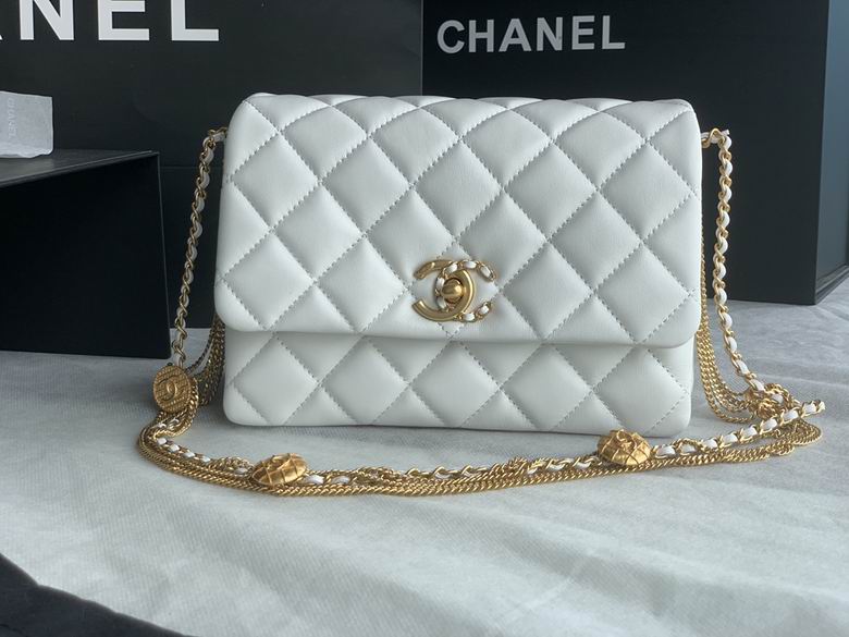 Chanel Bag Wallets on Chain AS3378 15x20x9cm AL