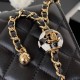 Chanel Bag Wallets on Chain AP1450 19cm AL