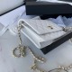 Chanel Bag Wallets on Chain AP1450 19cm AL