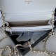 Chanel Bag Wallets on Chain AP1450 19cm AL