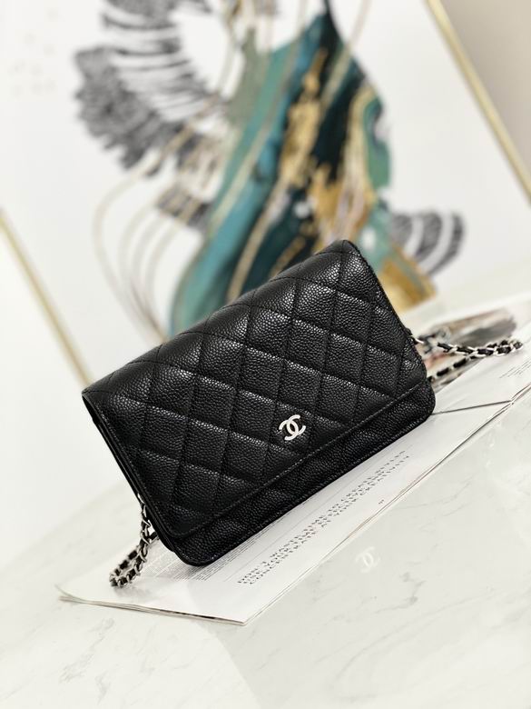 Chanel Bag Wallets on Chain 748675 19x12.5x3cm AL