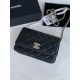 Chanel Bag Wallets on Chain 748711 19x12x3cm AL