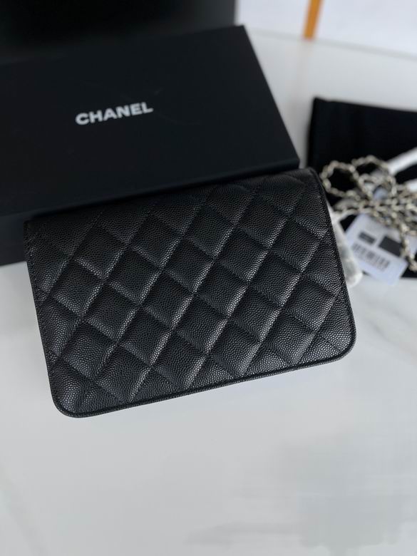 Chanel Bag Wallets on Chain 748711 19x12x3cm AL