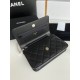 Chanel Bag Wallets on Chain 748711 19x12x3cm AL