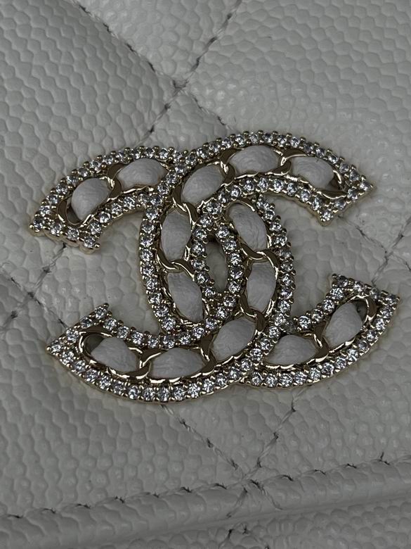 Chanel Bag Wallets on Chain 748720 19x12x3cm AL