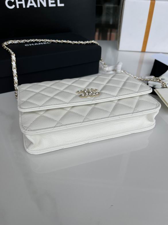 Chanel Bag Wallets on Chain 748720 19x12x3cm AL