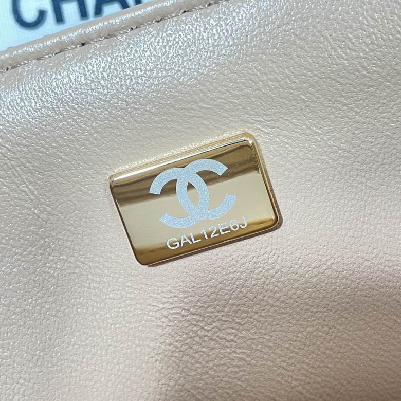 Chanel Bag Wallets on Chain AS2431 20x14x7 AL