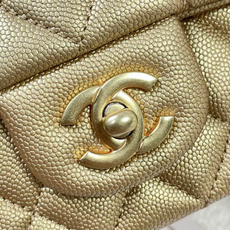 Chanel Bag Wallets on Chain AS2431 20x14x7 AL