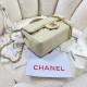 Chanel Bag Coco Handle Original AS2431 20x14x7cm AL