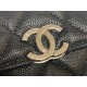 Chanel Bag Wallets on Chain AP2758 9.5x13x6cm AL