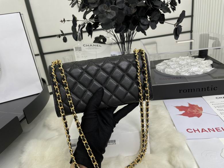 Chanel Bag Wallets on Chain A68088 10.5x19.6x6cm AL