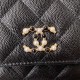 Chanel Bag Wallets on Chain AP2136 19cm AL