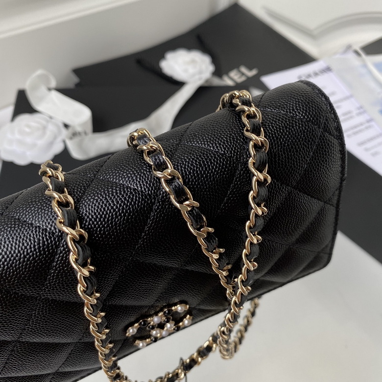 Chanel Bag Wallets on Chain AP2136 19cm AL